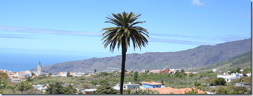 20110406=Palma Arturo   downtown apaisado