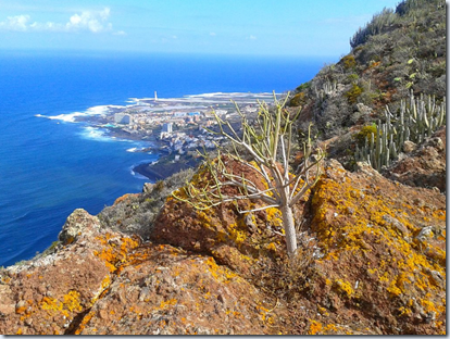 clip_image002 clip_image002