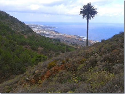 clip_image002 clip_image002