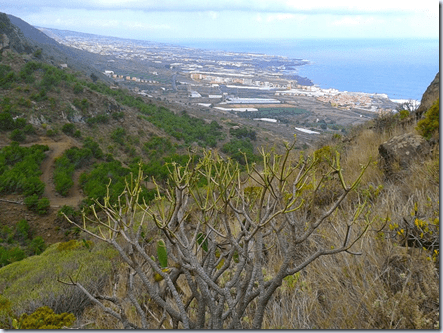 clip_image003 clip_image003