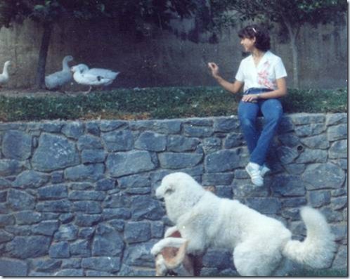 clip_image012 clip_image012