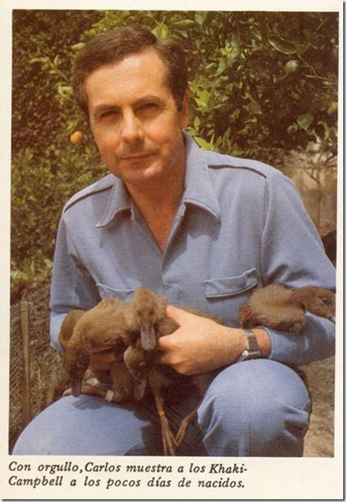 clip_image040 clip_image040