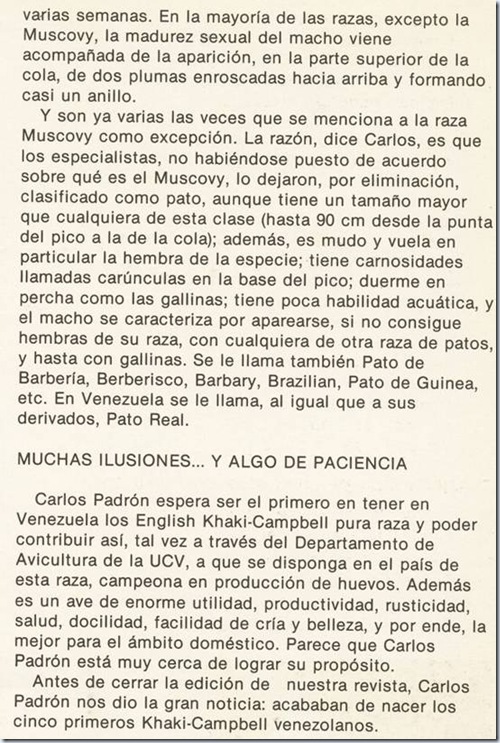 clip_image050 clip_image050