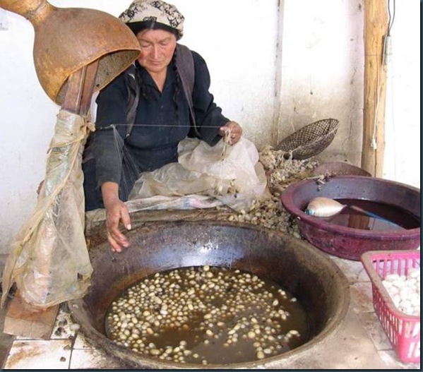 Mujer frente capullos en caldera