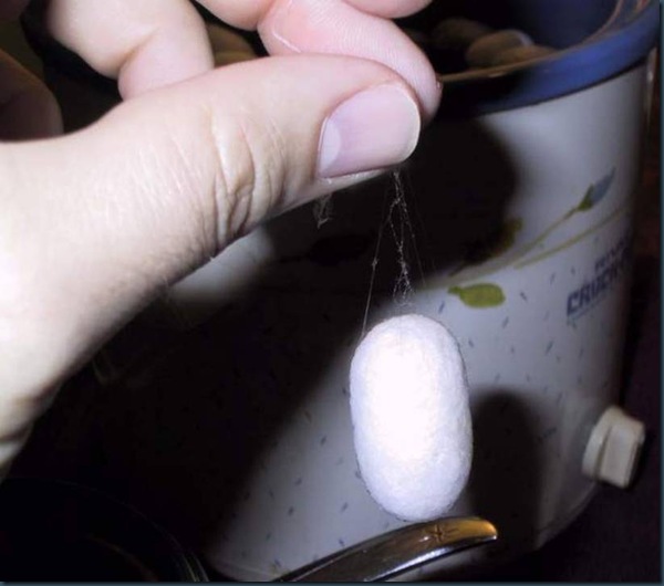 Seda desprendiendose